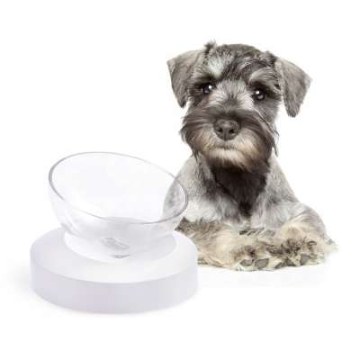 Removable easy cleaning washing plastic ABS PP transparent white single double bowl pet feeding food bowls